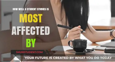 Unlocking Academic Success: The Surprising Factors That Influence Study Habits