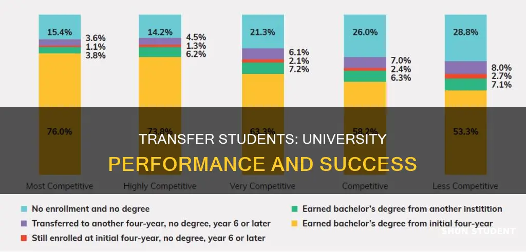 how well do transfer students do at university