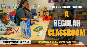 Inclusive Education: How ID Students Thrive in Regular Classrooms