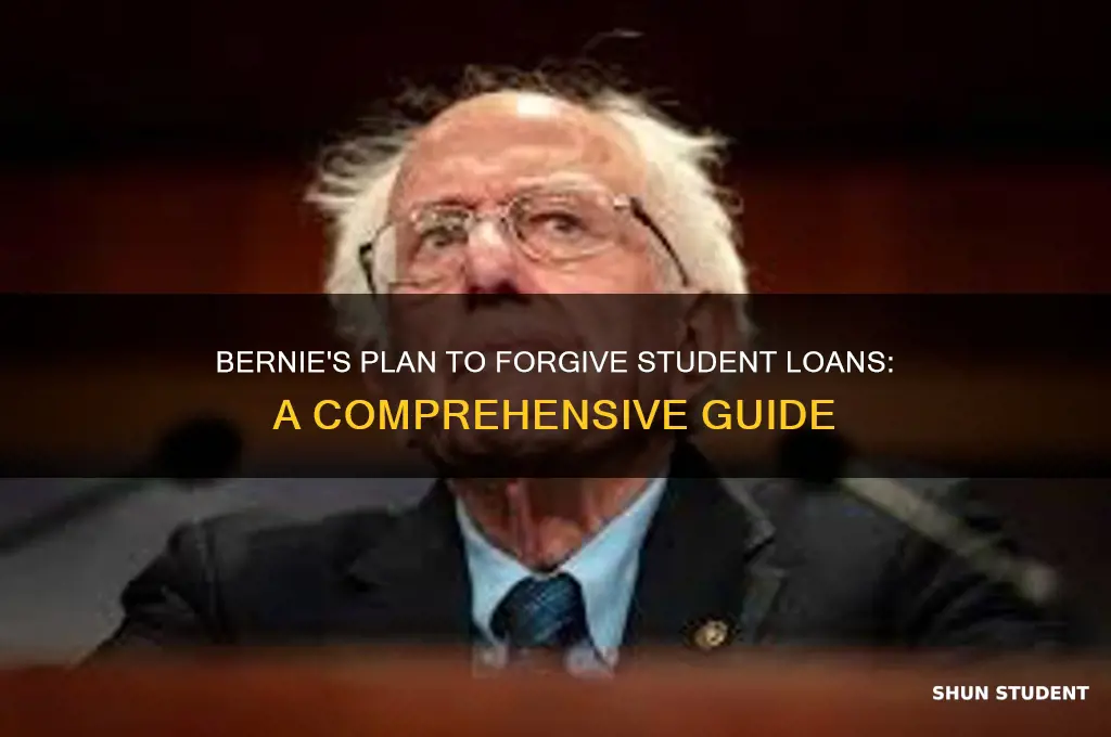 how will bernie forgive student loans