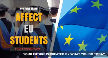 Brexit's Impact: EU Students Face Uncertain Future in UK Education