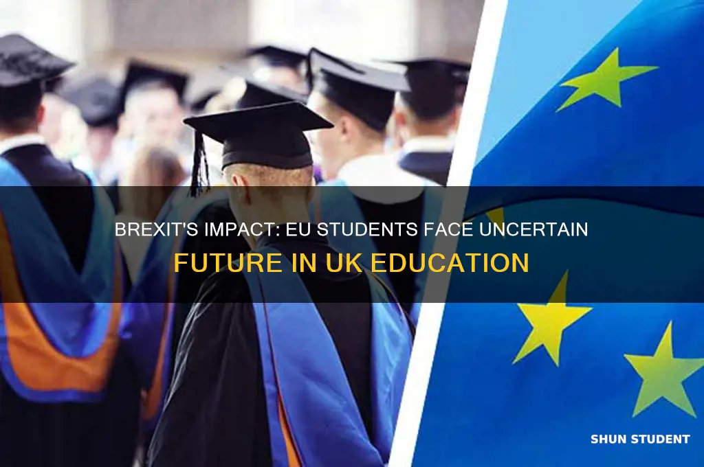 how will brexit affect eu students