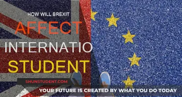 Brexit's Impact on International Students: What You Need to Know