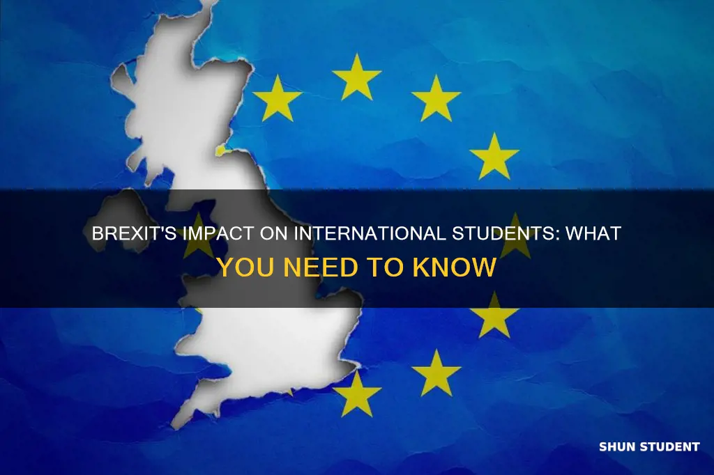 how will brexit affect international students