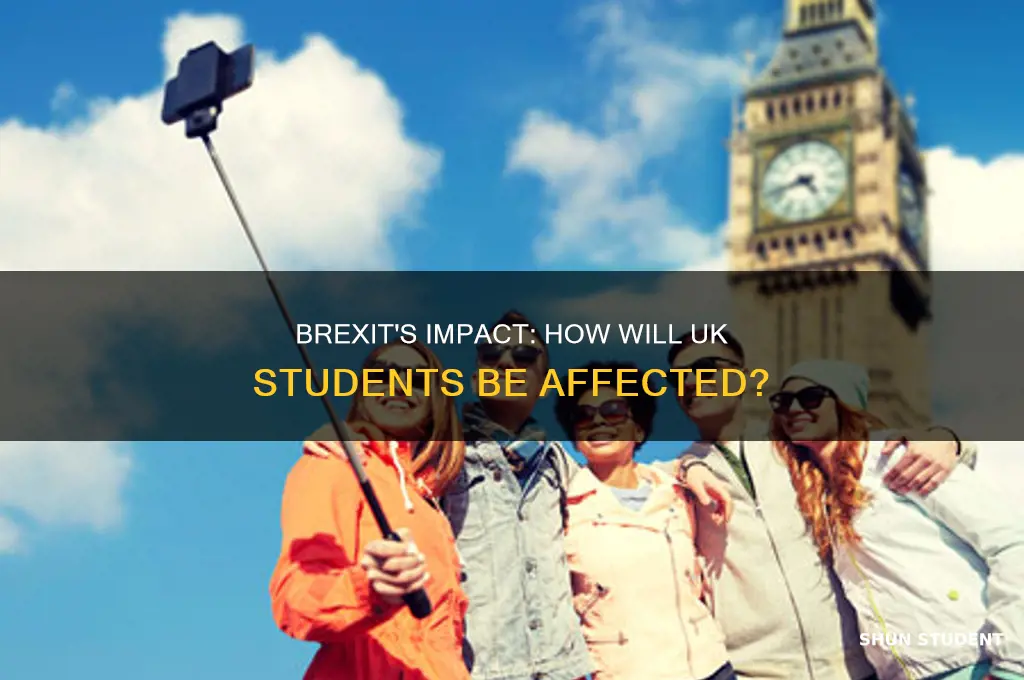 how will brexit affect us students in the uk