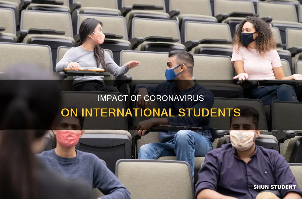 how will coronavirus affect international students