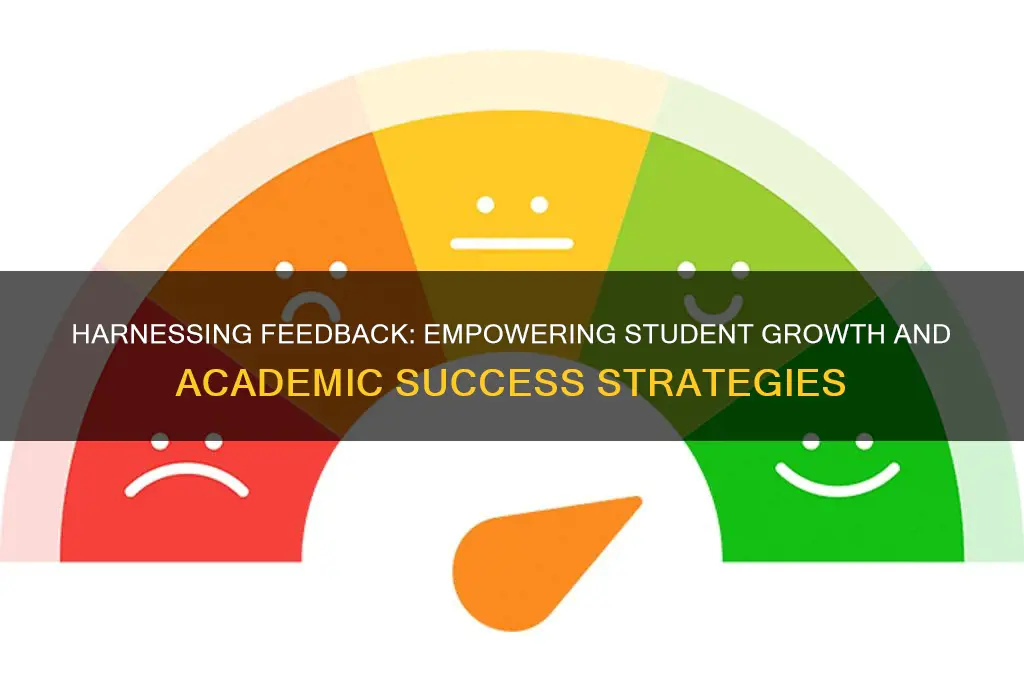 how will feedback be used to support student learning
