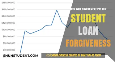 Funding Student Loan Forgiveness: Government Strategies and Financial Implications