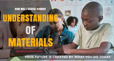 Effective Strategies to Assess Student Understanding of Course Materials