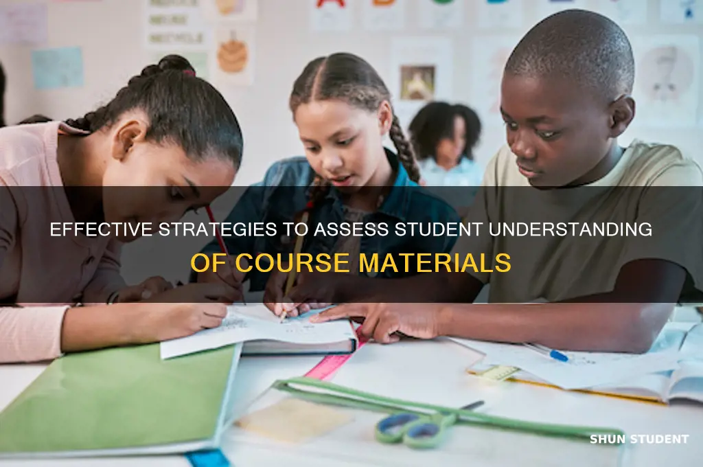 how will i assess student understanding of materials