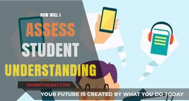 Assessing Student Understanding: Effective Strategies for Educators to Evaluate Learning