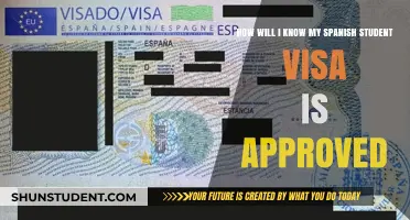 How to Confirm Your Spanish Student Visa Approval: A Quick Guide