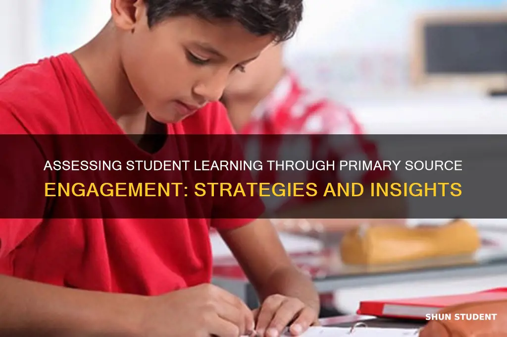 how will i know students learned from primary source