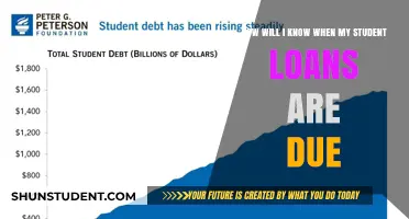 When Are My Student Loans Due? A Clear Guide to Payment Deadlines