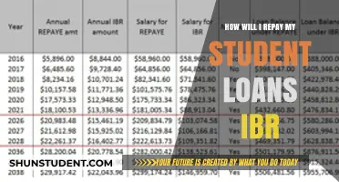 Repaying Student Loans: Mastering IBR for Financial Freedom