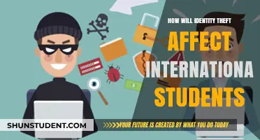 Identity Theft Crisis: Impact on International Students Abroad