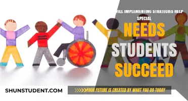 Empowering Special Needs Students: Strategies for Success and Inclusion