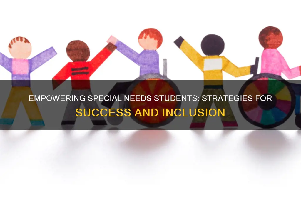 how will implementing strategies help special needs students succeed