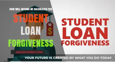 Understanding Income Calculation for Student Loan Forgiveness Programs