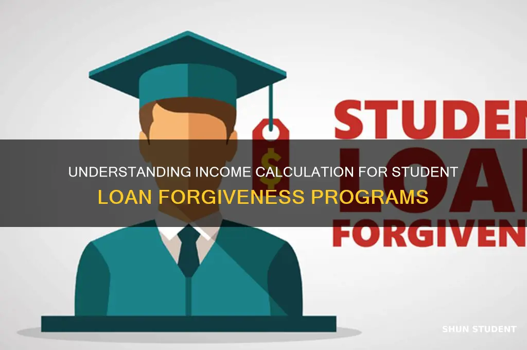 how will income be calculated for student loan forgiveness