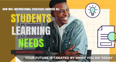 Tailoring Instructional Strategies to Meet Diverse Student Learning Needs