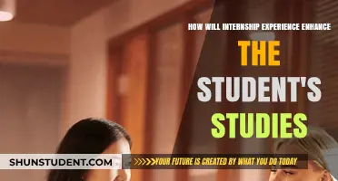 Internship Experience: Transforming Student Studies Through Real-World Learning