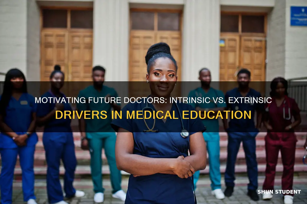 how will intrinsic and extrinsic motivation apply to medical students