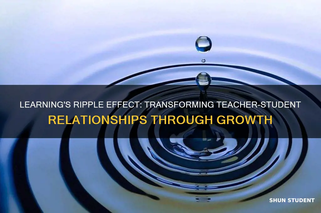 how will my learning impact the the teacher student relationships