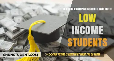 Privatizing Student Loans: Impact on Low-Income Students' Access and Debt