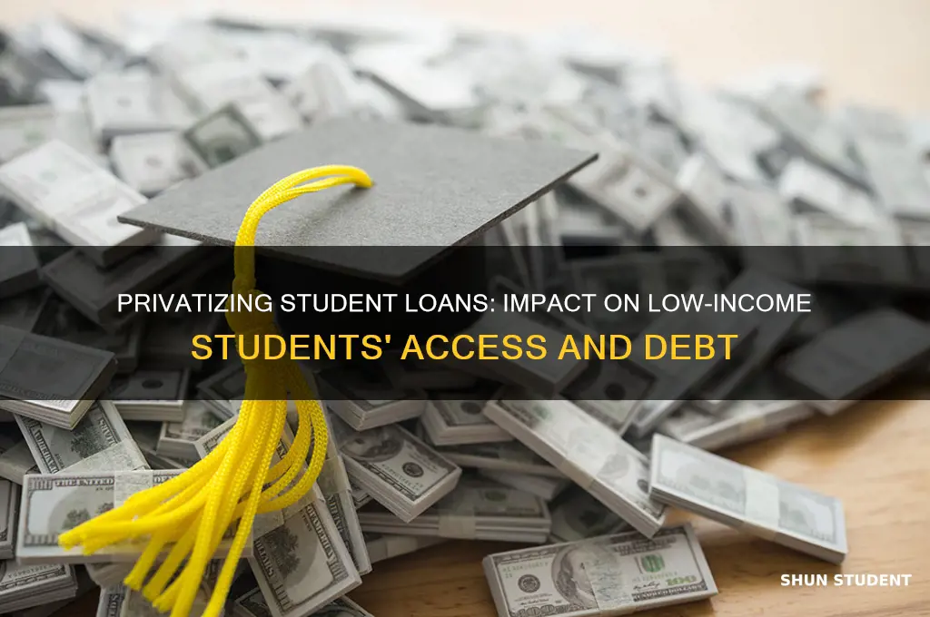 how will privitizing student loans effect low income students