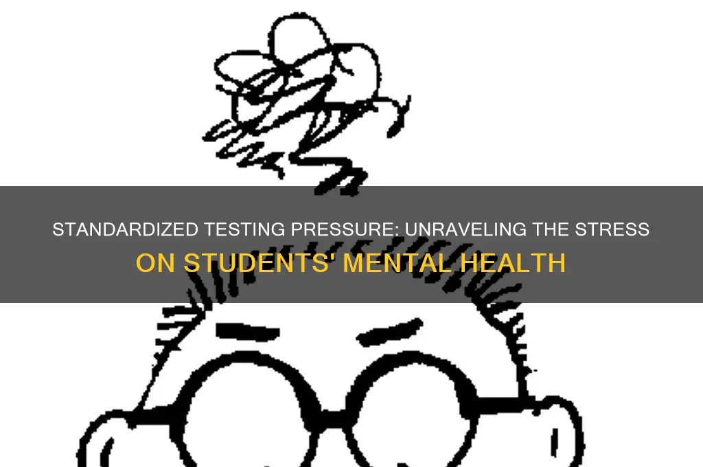 how will standardized testing give students stress