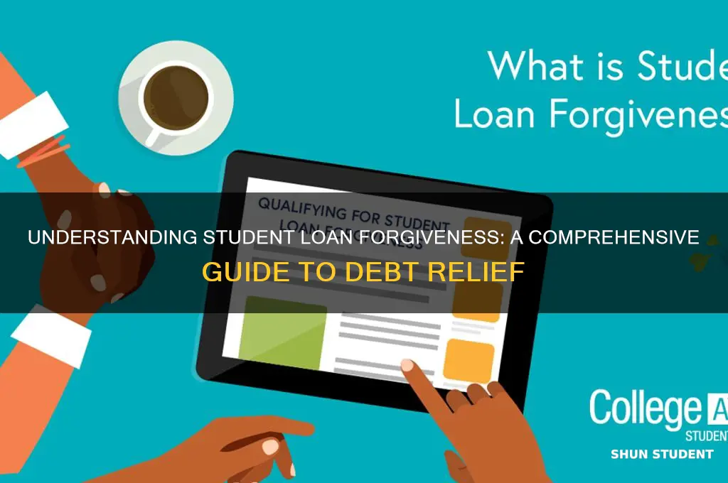 how will student bank loans be forgiven
