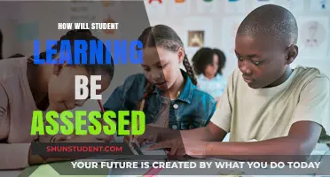Assessing Student Learning: Innovative Methods for Measuring Academic Success