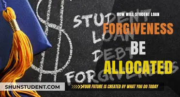 Understanding the Allocation Process for Student Loan Forgiveness Programs