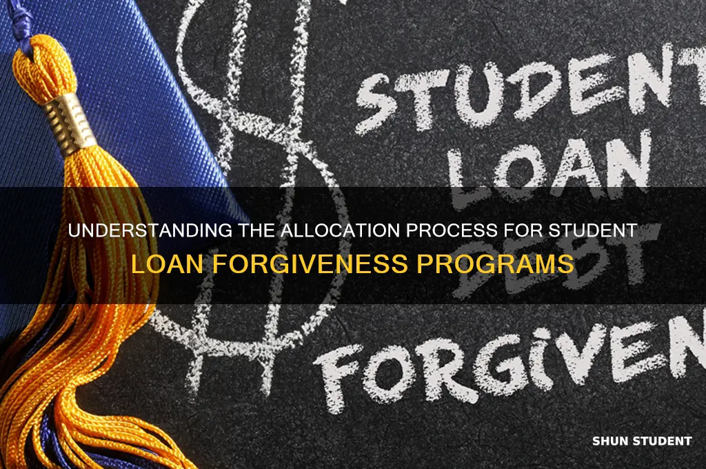 how will student loan forgiveness be allocated