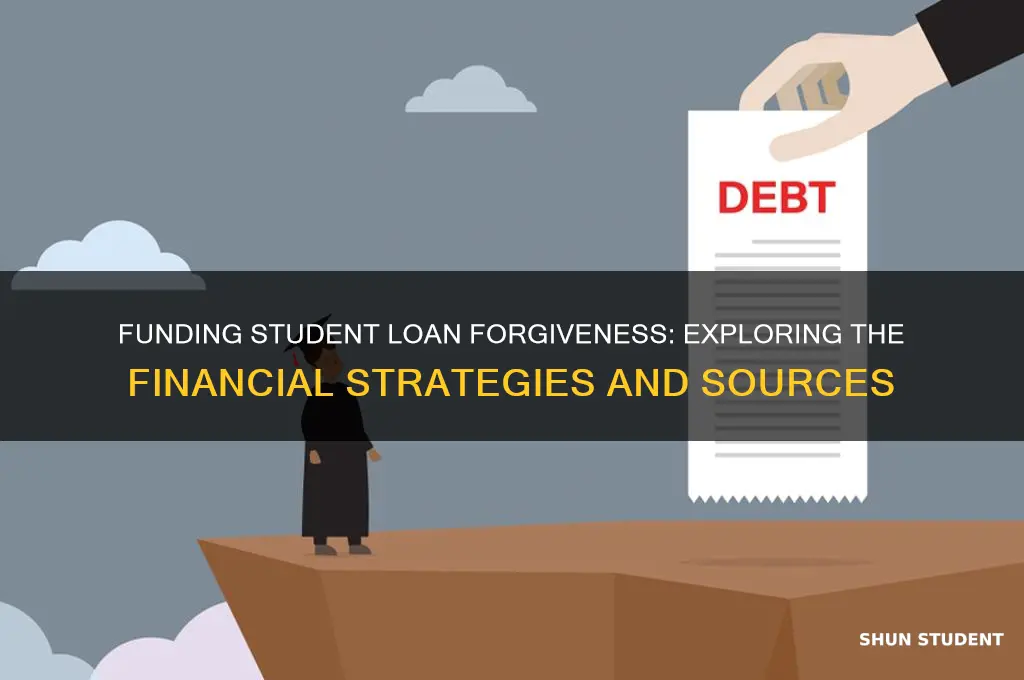 how will student loan forgiveness be paid for