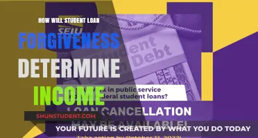 Student Loan Forgiveness and Income: Understanding the Impact on Borrowers