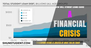 Student Loans: The Looming Financial Crisis and Its Impact