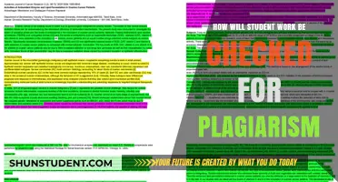 Ensuring Academic Integrity: Advanced Methods to Detect Plagiarism in Student Work