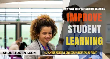 Enhancing Student Outcomes Through Strategic Professional Learning Initiatives