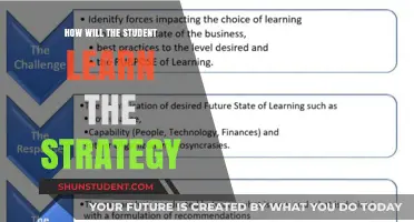 Mastering Strategies: Effective Learning Techniques for Student Success