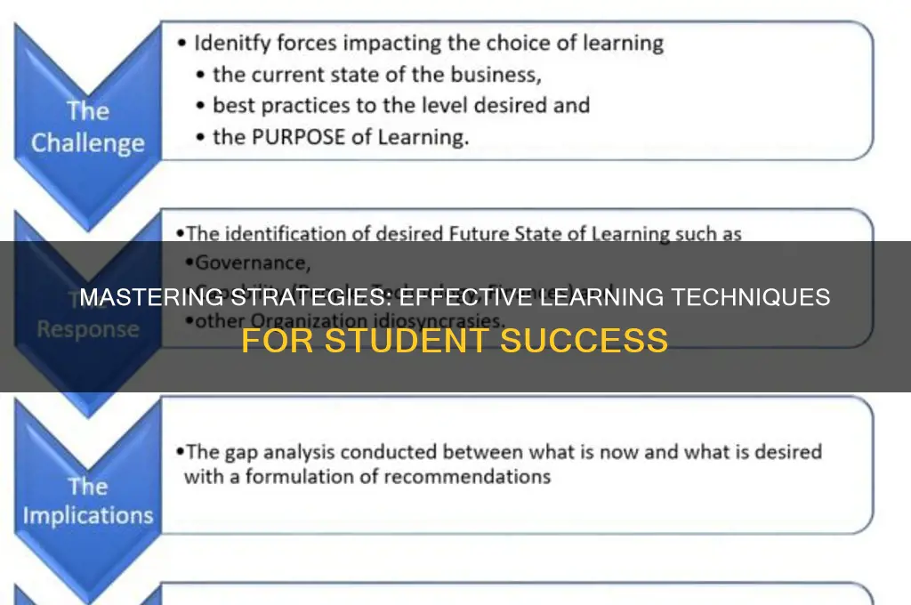 how will the student learn the strategy
