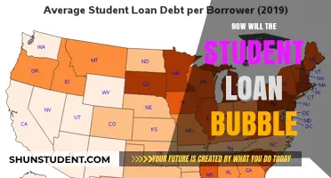 The Student Loan Bubble: Impending Crisis and Its Economic Impact