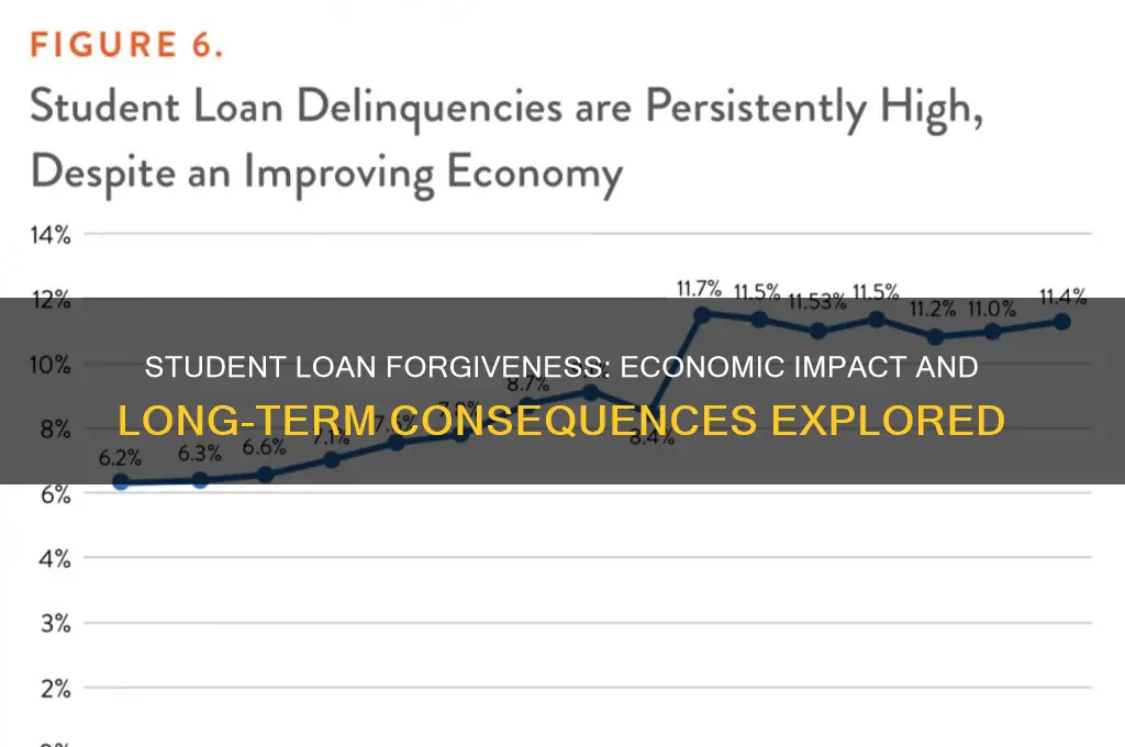 how will the student loan forgiveness affect the economy