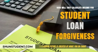 Understanding Income Calculation for Student Loan Forgiveness Programs