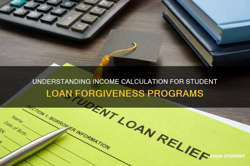 how will they calculate income for student loan forgiveness