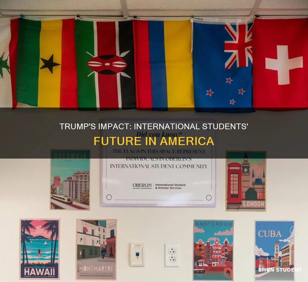 how will trump affect international students
