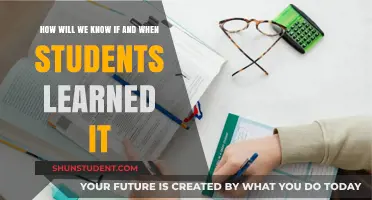 Measuring Student Mastery: Identifying When and How Learning Truly Occurs
