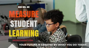 Measuring Student Learning: Innovative Strategies for Accurate Assessment