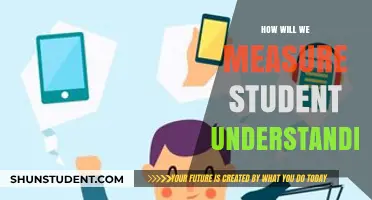 Assessing Student Understanding: Innovative Strategies for Effective Learning Measurement